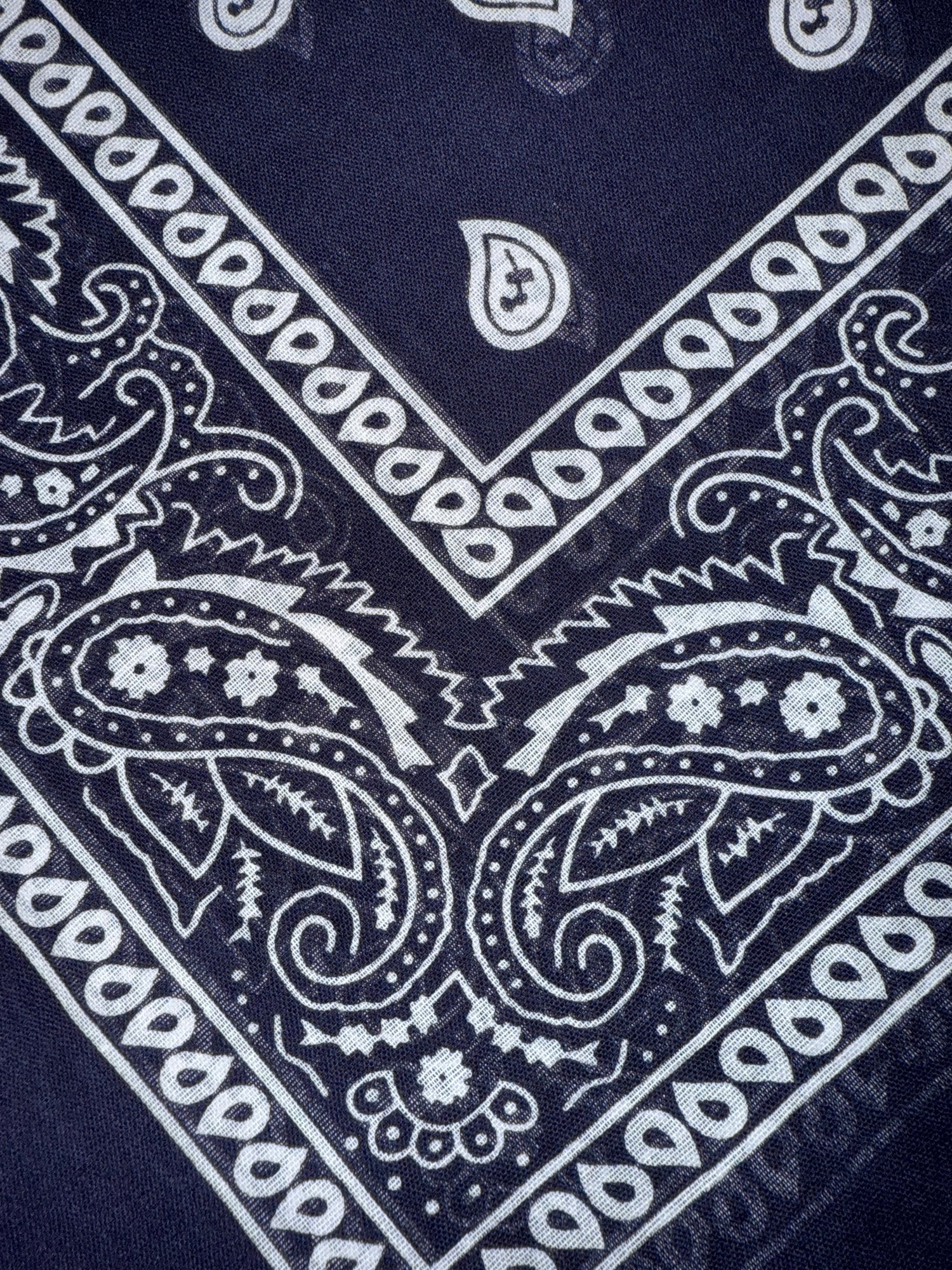 Bandana LIP