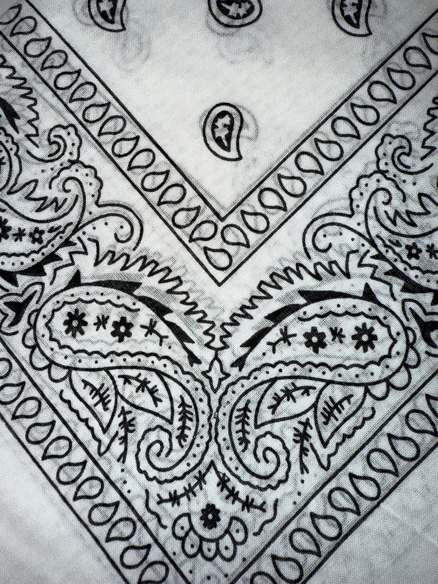 Bandana LIP