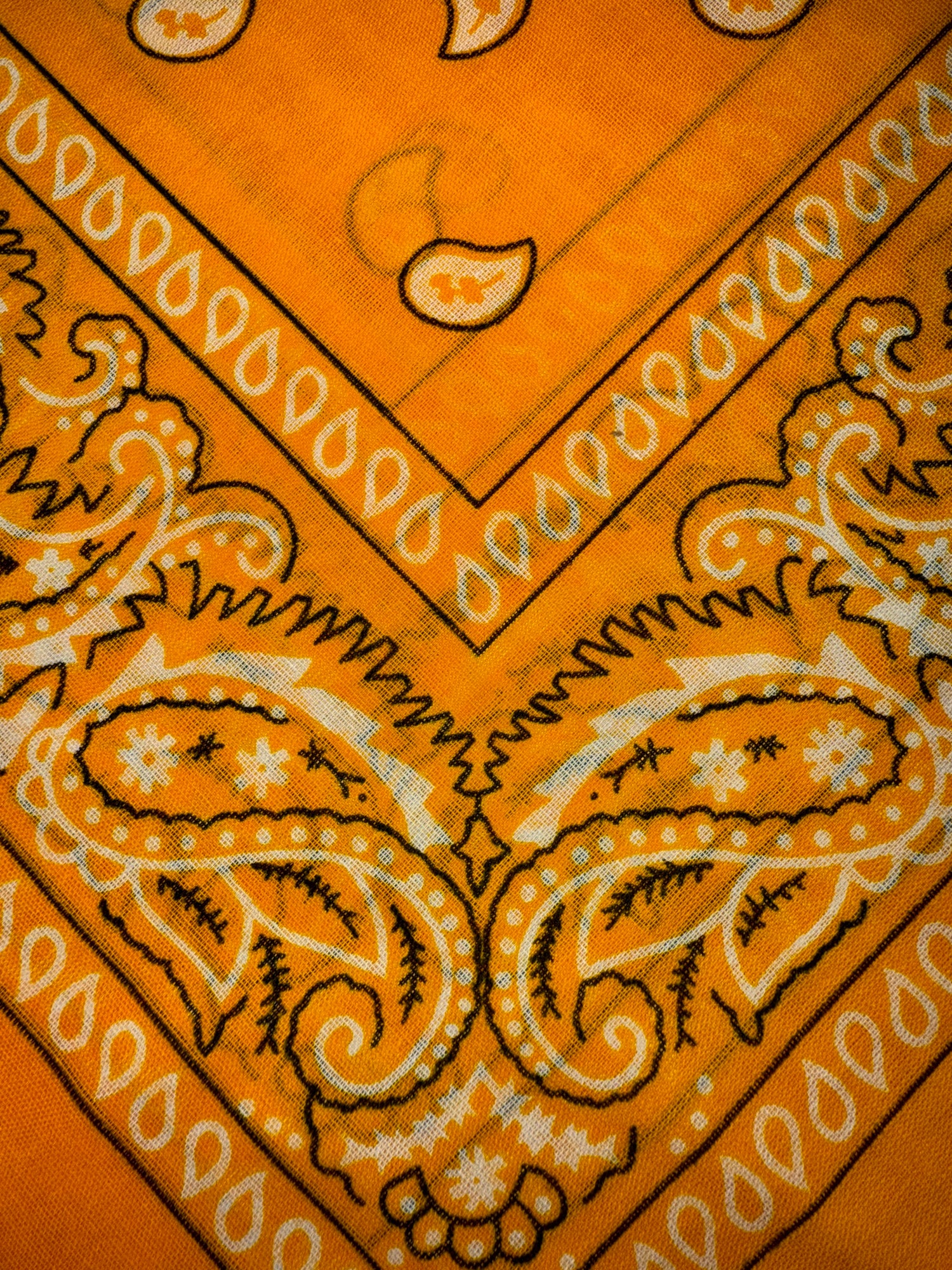Bandana LIP