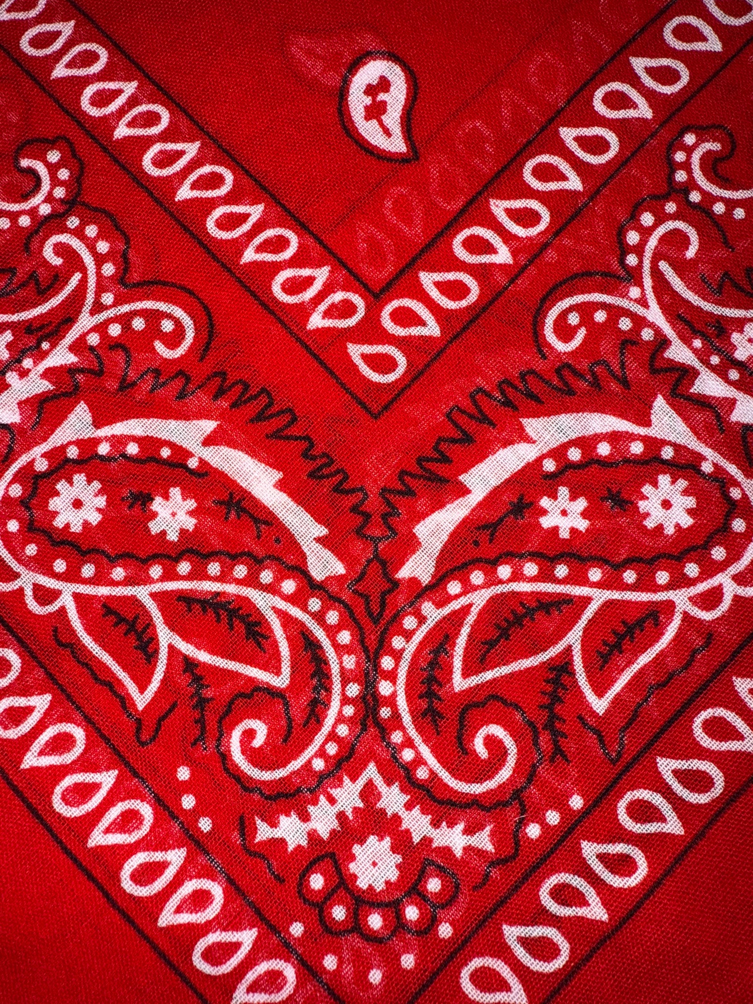 Bandana LIP