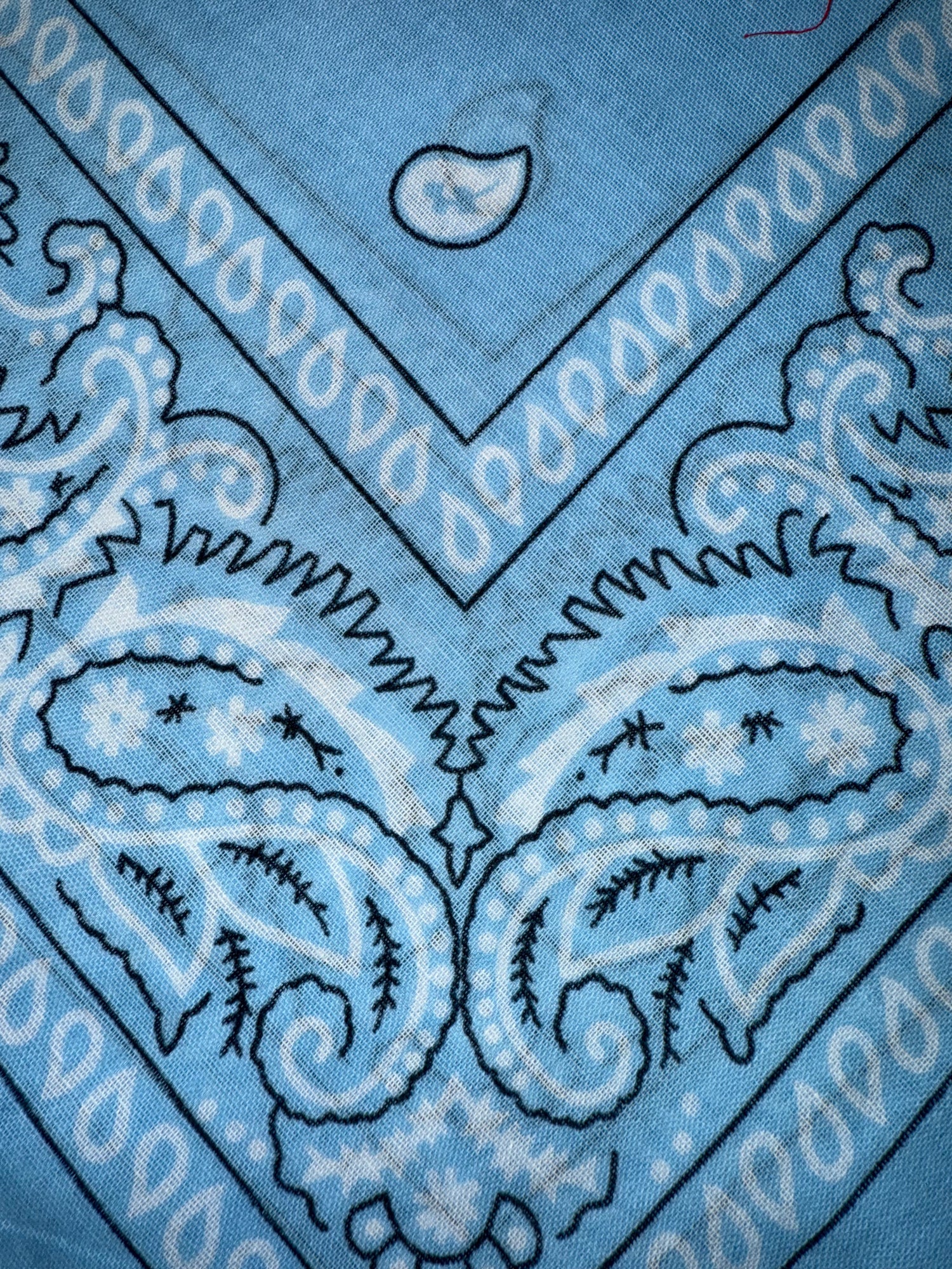 Bandana LIP