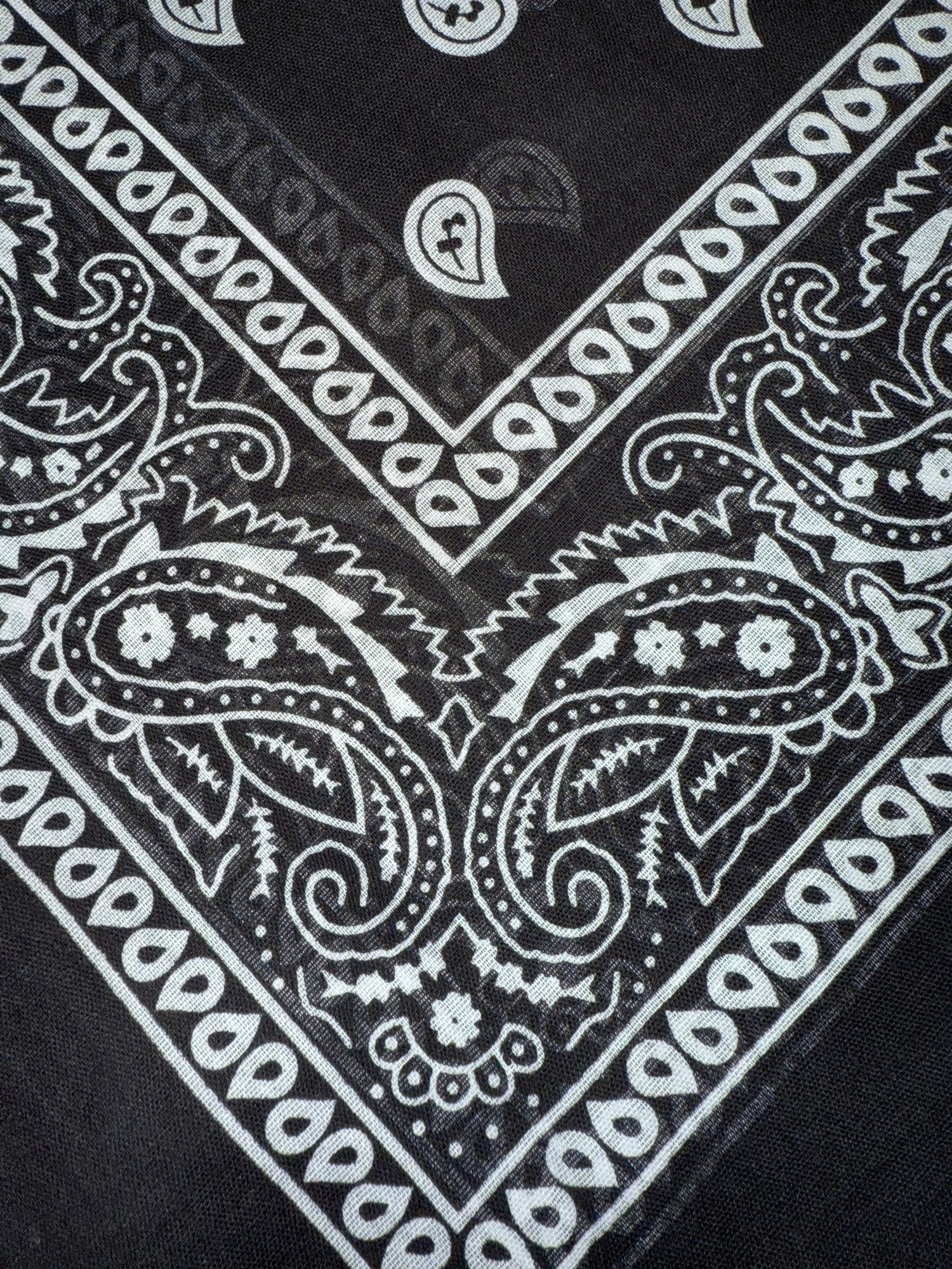 Bandana LIP